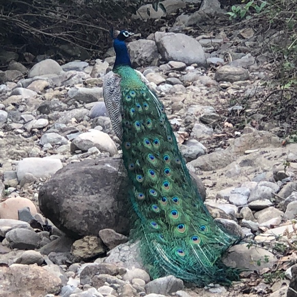 Meet your Posher, Erika - Picture 5 of 7